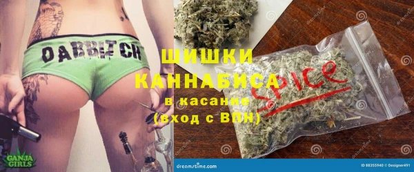 прущие грибы Зерноград