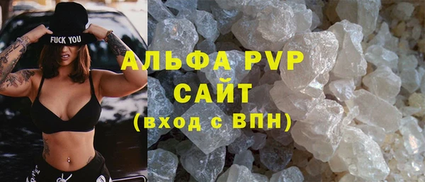 прущие грибы Зерноград