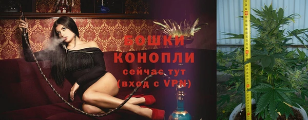 прущие грибы Зерноград
