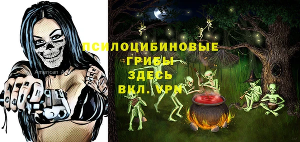 прущие грибы Зерноград