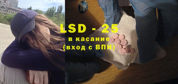прущие грибы Зерноград