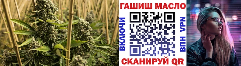 Купить где  Хотьково  Дистиллят ТГК гашишное масло 